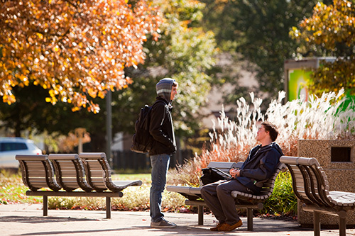 Students relax on campus