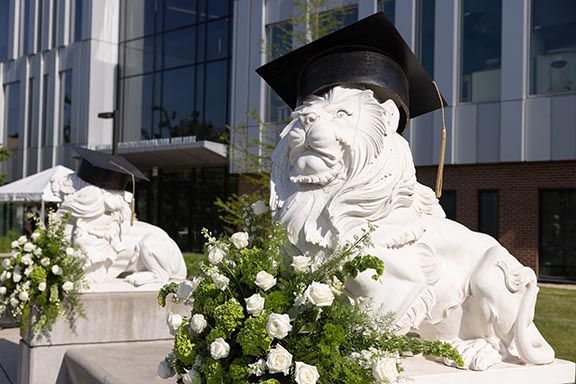 Lion sculptures in graduation caps at Purdue University Northwest