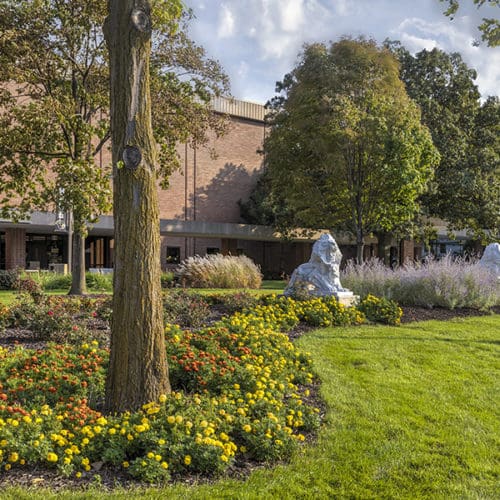 A lion sculpture in front of the LSF building