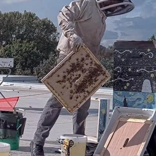 Honey Harvesting at PNW is pictured.