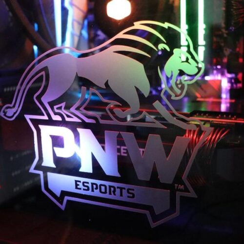 PNW Esports Logo is pictured.