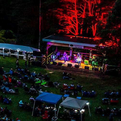 People sitting on a lawn in front of a stage at Gabis Arboretum