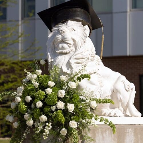 A lion sculpture in a graduation cap at Purdue University Northwest