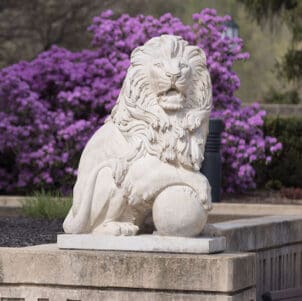 A white lion statue on the PNW Westville Campus it. There is a purple flowering plant in the background.