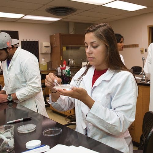 Student in Lab