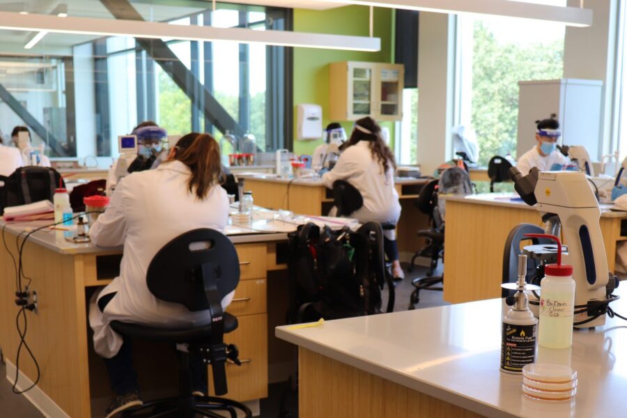 Students work in a lab in PNW's Nils K. Nelson Bioscience Innovation Building