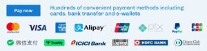 A banner showing "Pay now" and logos of payment methods including Mastercard, Visa, Amex, Alipay, UnionPay, Pix, PayPal, JCB, WeChat Pay, Trustly, ICICI Bank, Boleto, HDFC Bank and Diners Club International.
