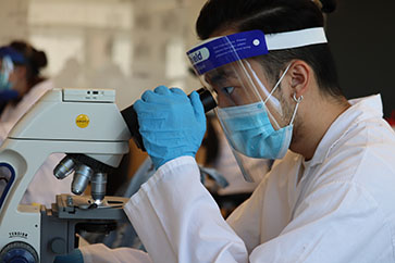 A student wearing a face shield, mask and gloves looks into a microscope