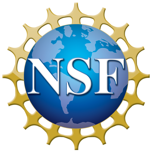 logo: NSF: National Science Foundation