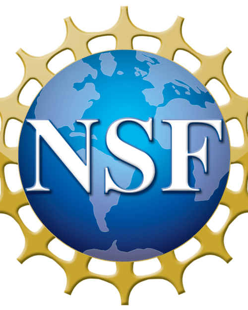 logo: NSF: National Science Foundation