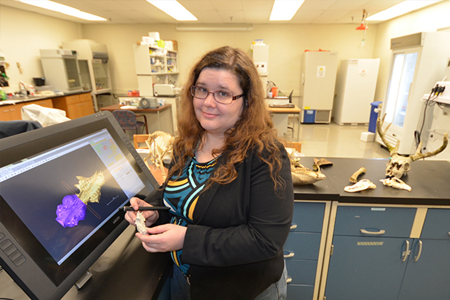 Michelle Spaulding, Ph.D. Assistant Professor of Biology