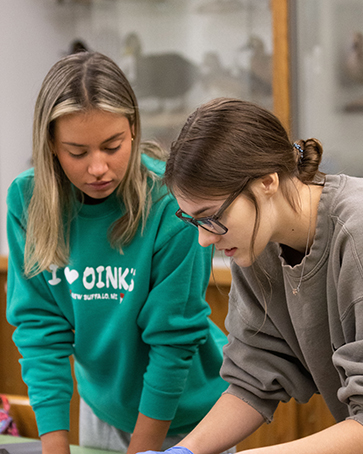 Two microbiology students work on a project together