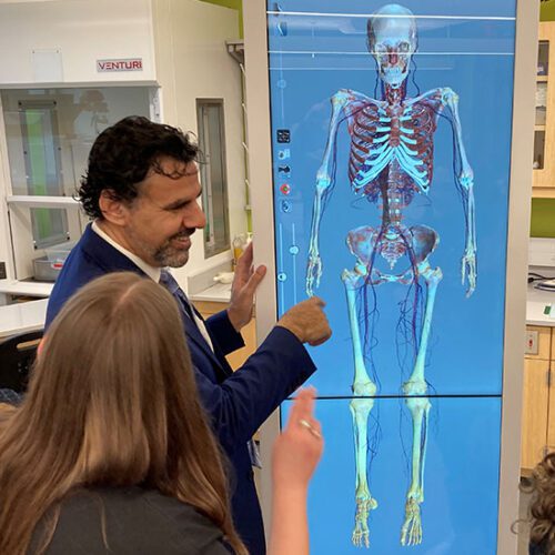 Two people look at an anatomage table that is featuring a skeleton