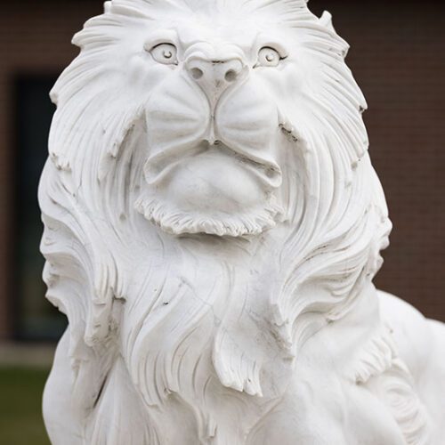 PNW Lion statue