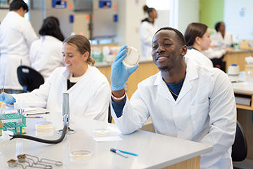 A student works in a lab, wearing gloves, a white coat, and holding up a Petri dish.