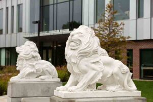 Two lion statues