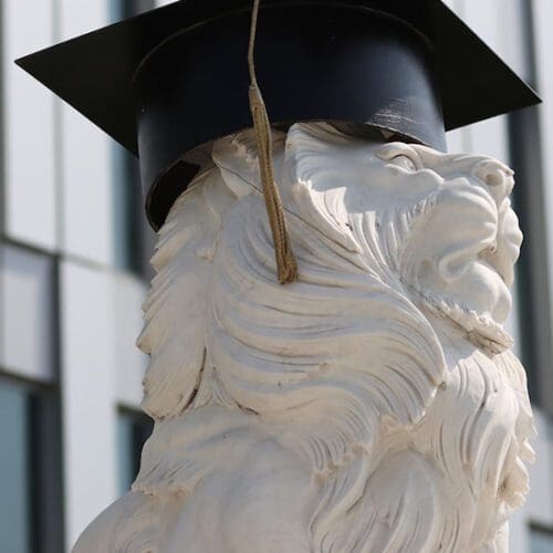 PNW Lion Statue with Mortarboard