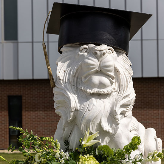 A PNW lion statue wearing a mortarboard