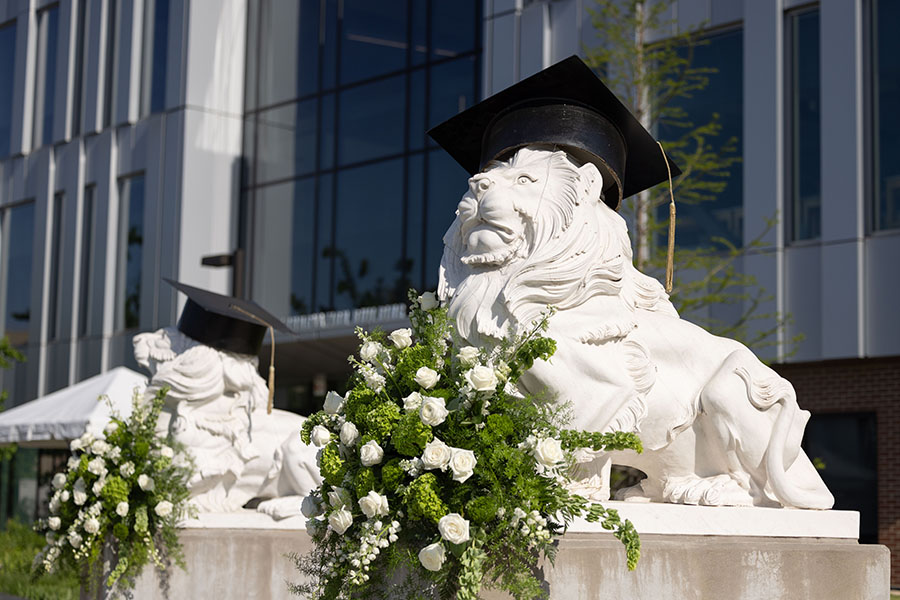 Lion statues wear a mortarboard.