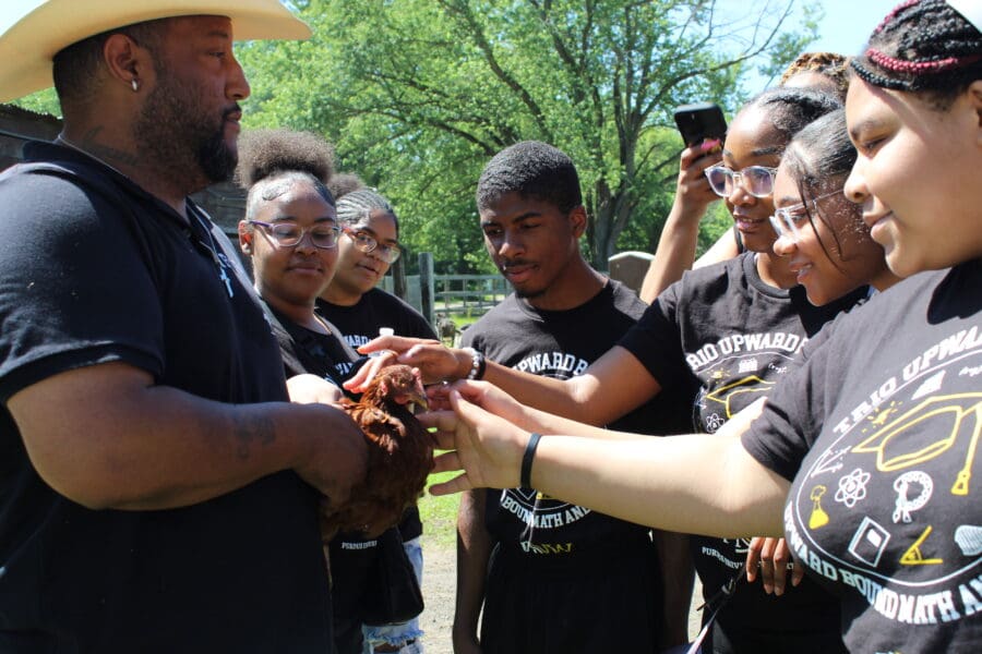 Students petting a chicken