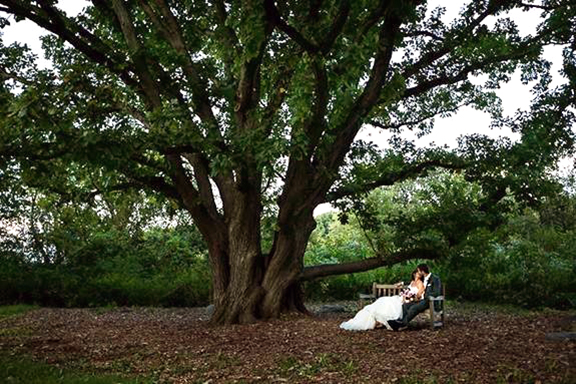 Newlyweds kiss under an oak tree at Gabis Arboretum