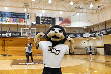 Leo the Lion on John Friend Court