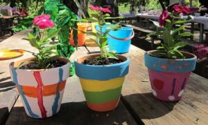 Painted pots with flowers