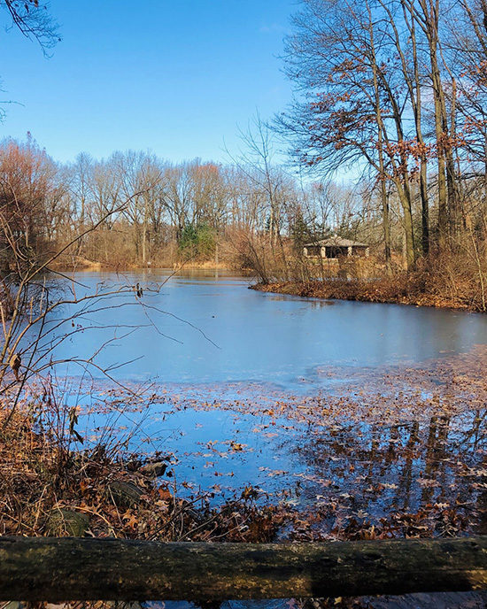 A pond at Gabis Arboretum