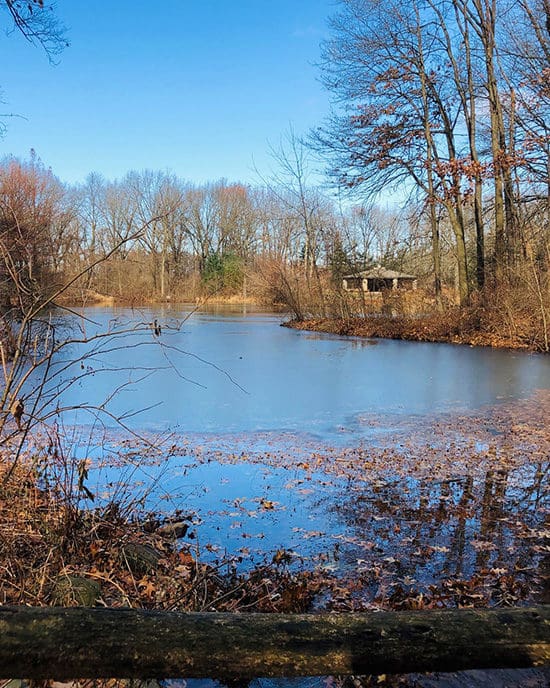 A pond at Gabis Arboretum