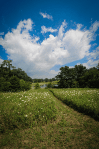 A hiking trail at Gabis Arboretum at Purdue University Northwest