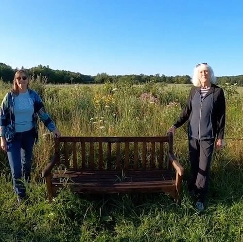 Image of wildflowers walk at Gabis.