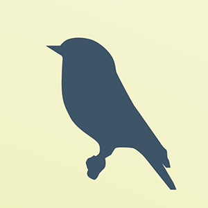 Illustrated bluebird silhouette