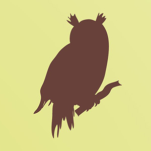 Illustrated silhouette of owl
