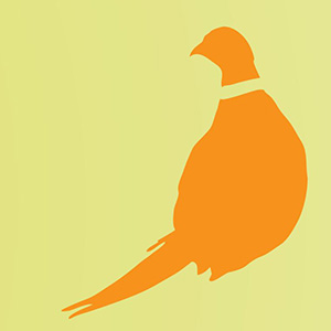 Illustrated silhouette of pheasant