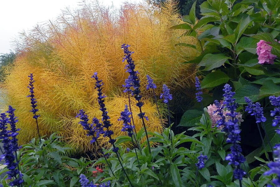 Gabis Arboretum Welcome Garden