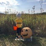 Scarecrow of Charlie Brown