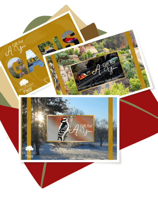 stationary cards