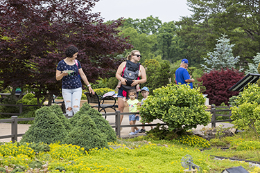 Several people walk along a trail