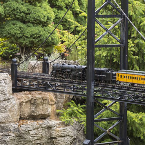 A black and yellow model train goes over a bridge in the railway garden