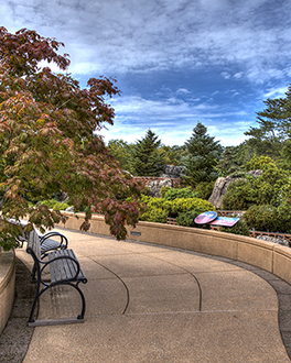 A sidewalk at Gabis Arboretum. There is a metal bench on the left side of the paved walkway