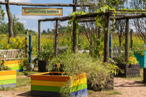 The Gabis adventure garden