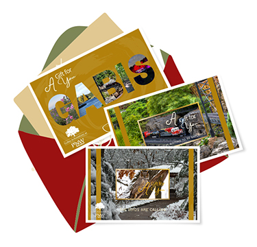 Renderings of Gabis Arboretum notecards as part of a membership package
