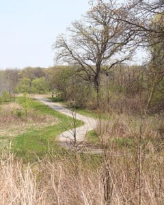 A trail winding through a grassy area of Gabis Arboretum.