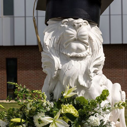 A PNW lion statue wearing a mortarboard