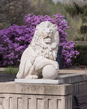 Lion Statue
