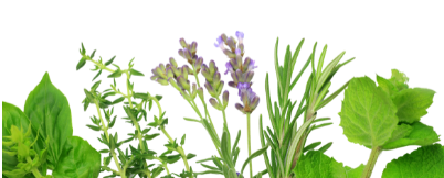 Image of a variety of herbs 