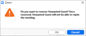 A dialog box telling you that the removed user cannot return to the zoom meeting