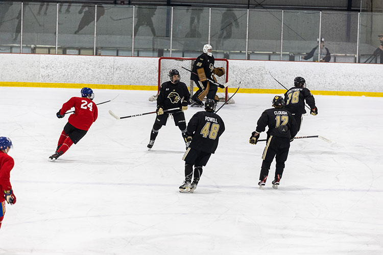 PNW ice hockey players skate toward their goal during a game.