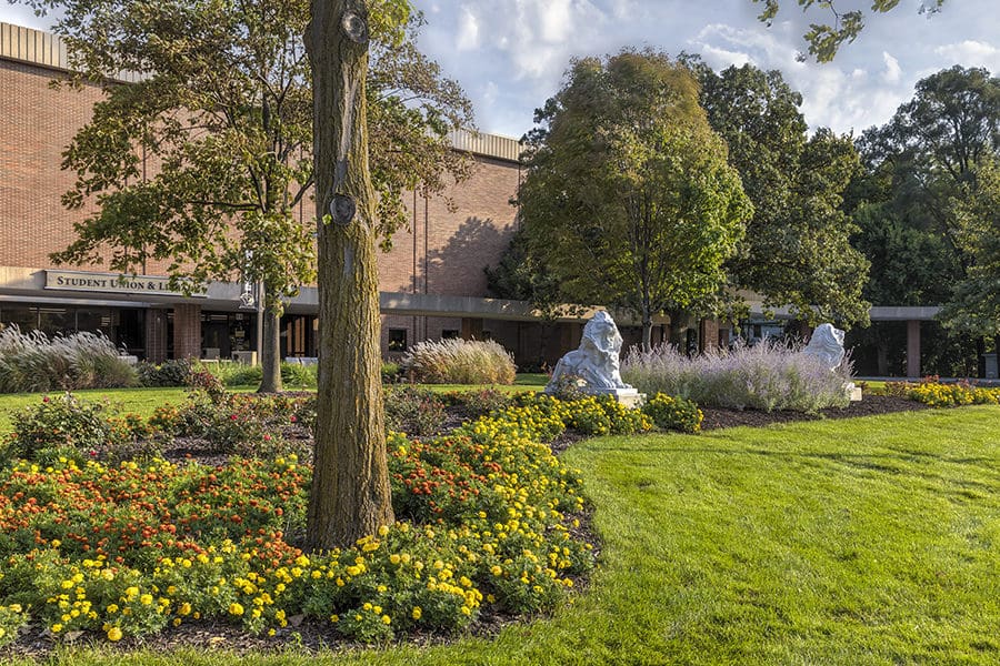 Lion sculptures in front of the library building on PNW's Hammond Campus.