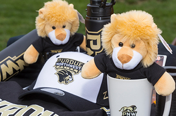 Lion plushes and other PNW licensed products